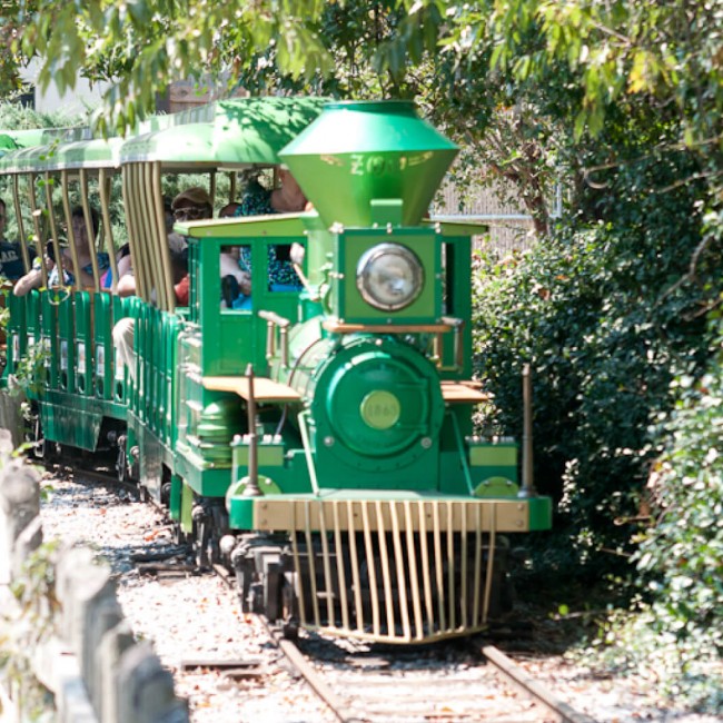 Safari Express Train Ride