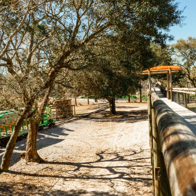 Elevated Boardwalk